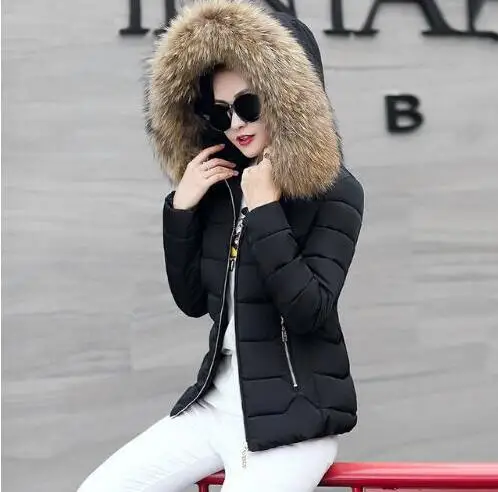 black 2 Хит! Новая модная зимняя куртка для женщин искусственный мех енота Воротник Зимнее пальто женские парки теплый пуховик женская верхняя одежда - Цвет: black 2