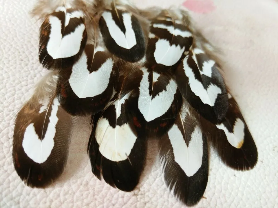 Niewe! 20 шт st van hoogwaardige natuurlijke fazant veren 2-3 дюйма/5-8 см Ambachten Sieraden en andere аксессуары | Дом и