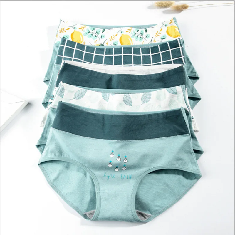 Трусы женские хлопок 2019 цвет в ассортименте M L XL XXL 1 шт | Женская одежда