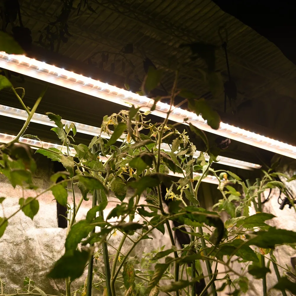 Лекарственные растения 48W Окончательный светильник светодиодный для