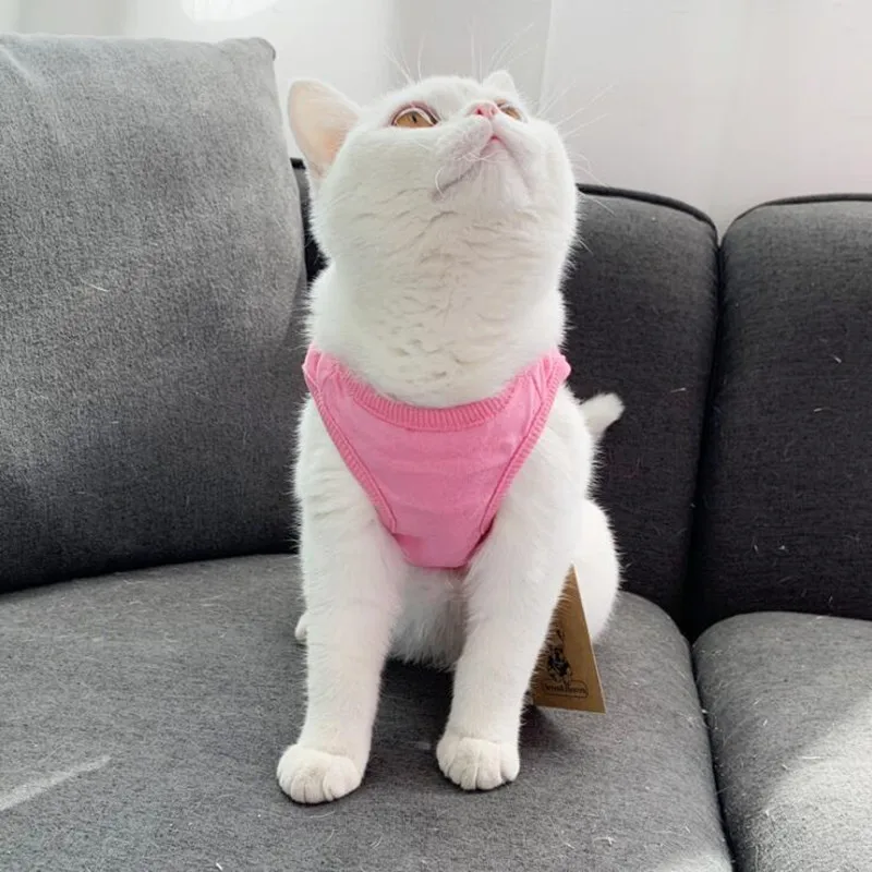 2019 лето домашнее животное футболка с изображением кота для панель в форме