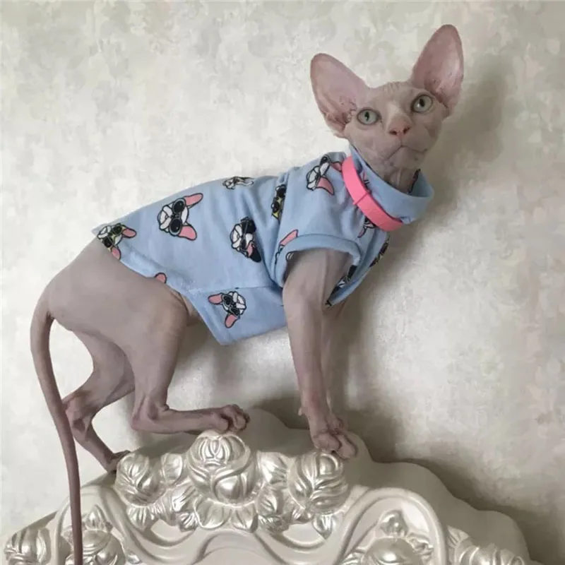 Сфинкс одежда голая кошка новая посылка ручной индивидуальные популярных