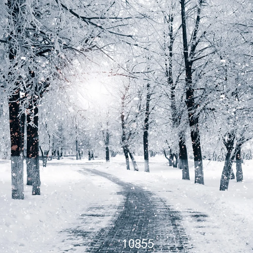 Виниловый фон для фотосъемки новорожденных детей с запрещенным лесом и снегом |