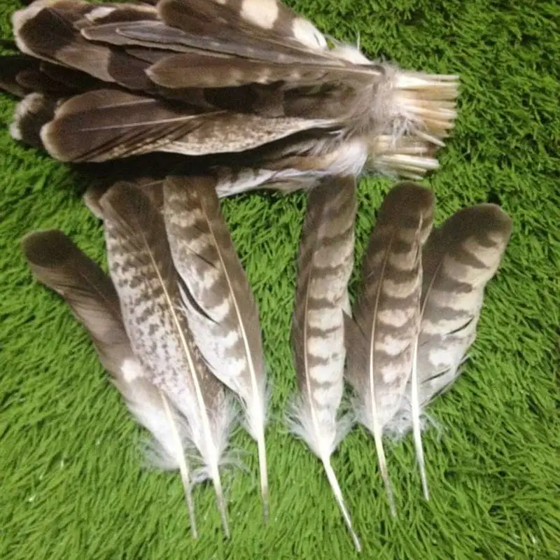 Оптовая продажа 100 скудных природных ресурсов перо орла 15 28 см/6 12 дюймов собрать