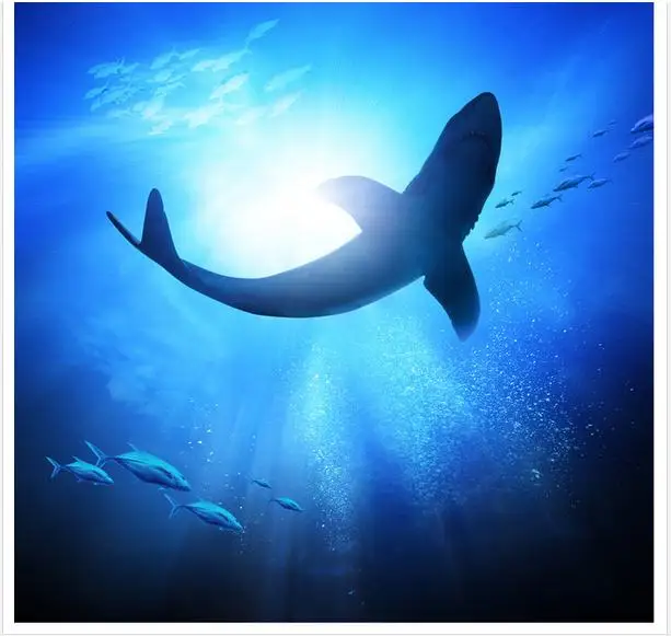 Фотообои под заказ потолочные 3d обои фрески Средиземное море Акула потолок Зенит