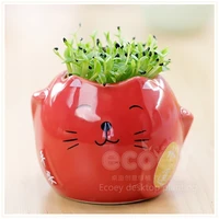 lucky cat diy creative home office decorations potted computer peripherals grass doll radiation plants