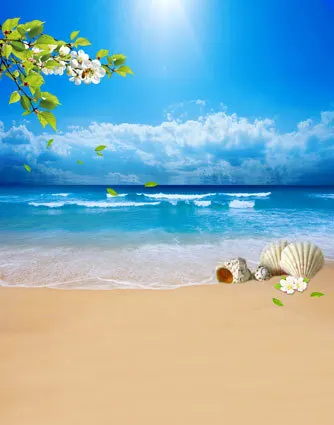 10x10FT белые цветочные ветки Морской Береговой оболочки песок пляж солнце