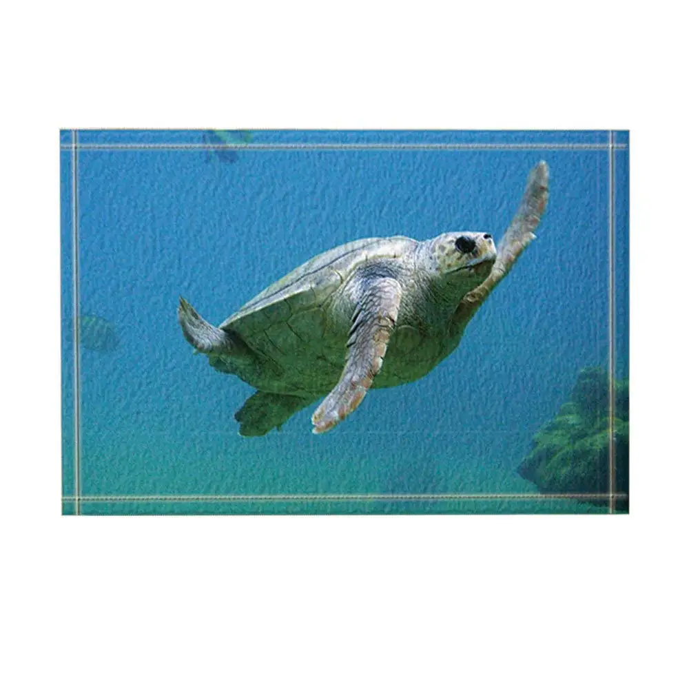 Прозрачный Бирюзовый коврик для ванной 1" x 24"