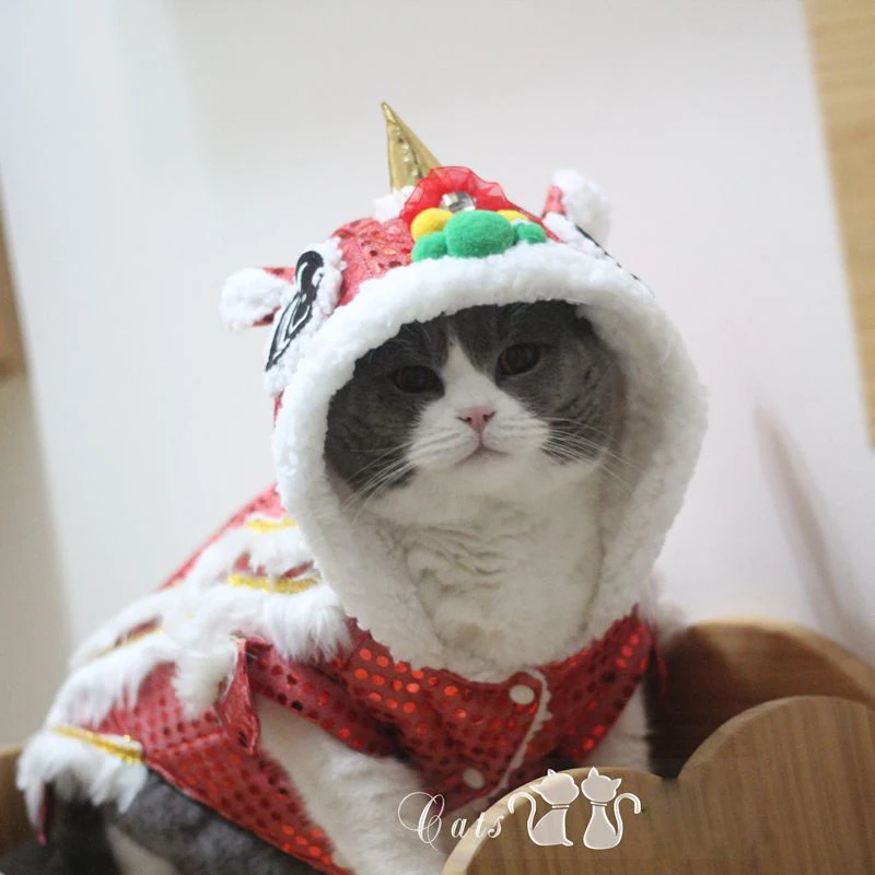

Funny Pet Clothes Chinese Dragon Lion Cat Dog Clothes Winter Thick Warm Stretch Hairless Jumpsuit Belly High Collar Cat Sweater