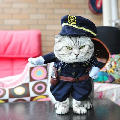 Policeman Забавная одежда для кошек, сексуальный костюм медсестры, костюм для кошек, классный костюм на Рождество, Хэллоуин, одежда для домашних животных, костюм для кошек, XS-2XL, 27S1 - Цвет: Policeman