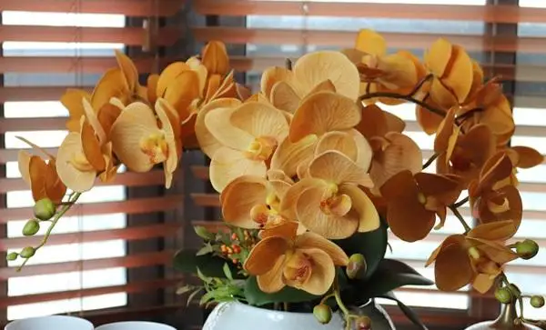 Высококачественные искусственные цветы бабочки орхидеи похожие на настоящие
