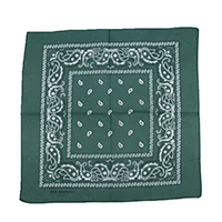 green Новинка, 55 см* 55 см, шарф, повязка на голову, бандана, повязка на голову, хлопок, повязка на голову, на шею, на запястье, носовой платок, черный, белый, розовый, 14 цветов, лидер продаж - Цвет: green