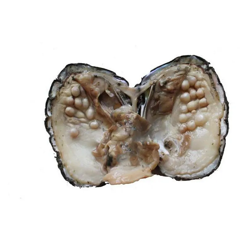 Пресноводная вакуумная упаковка с жемчугом Love Wish Oyster круглые бусины Akoya 5-7 мм DIY