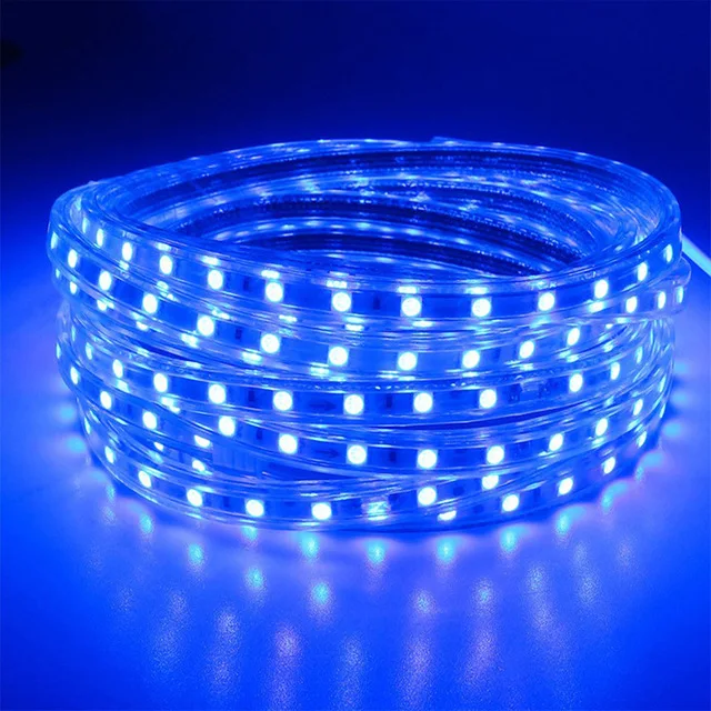 220 V Светодиодные ленты светильник SMD 5050 60 светодиодный s/m Водонепроницаемый IP67 220 вольт лента Диодная лента полоска светодиодный светильник s Мощность штекер Гостиная - Испускаемый цвет: Синий