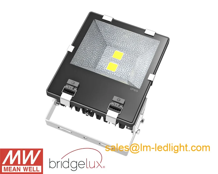 Отражатель LED 100 Вт 6 шт./лот 220 В Bridgelux 45mil MeanWell Светодиодный драйвер яркий