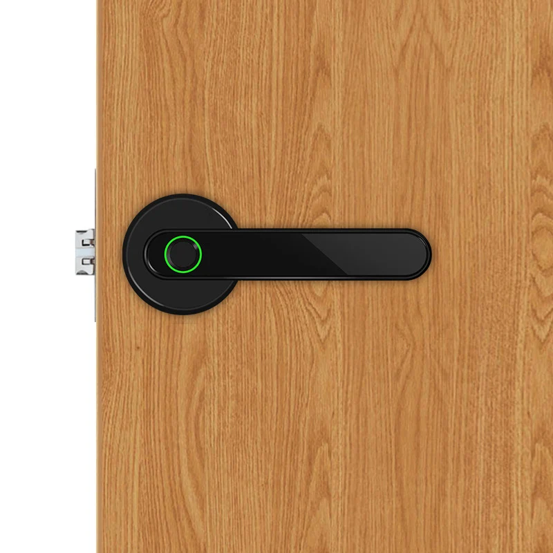 Умный цинковый сплав Bluetooth приложение дистанционное управление замок отпечатков пальцев Электрический биометрический замок на дверь 100 Емкость отпечатков пальцев
