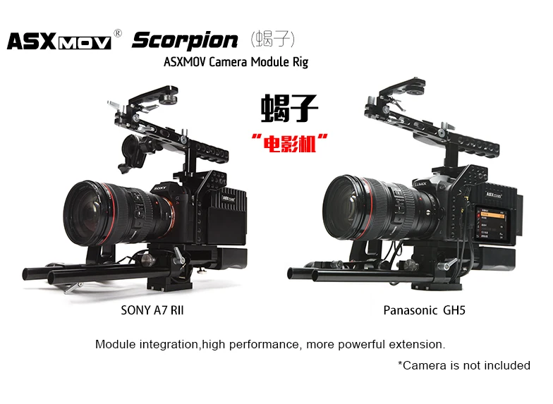 ASXMOV Скорпион Риг DSLR на плечо для съемки видео dslr Rig A7R2/A7S2/A72 и GH5/GH4|Стедикамы