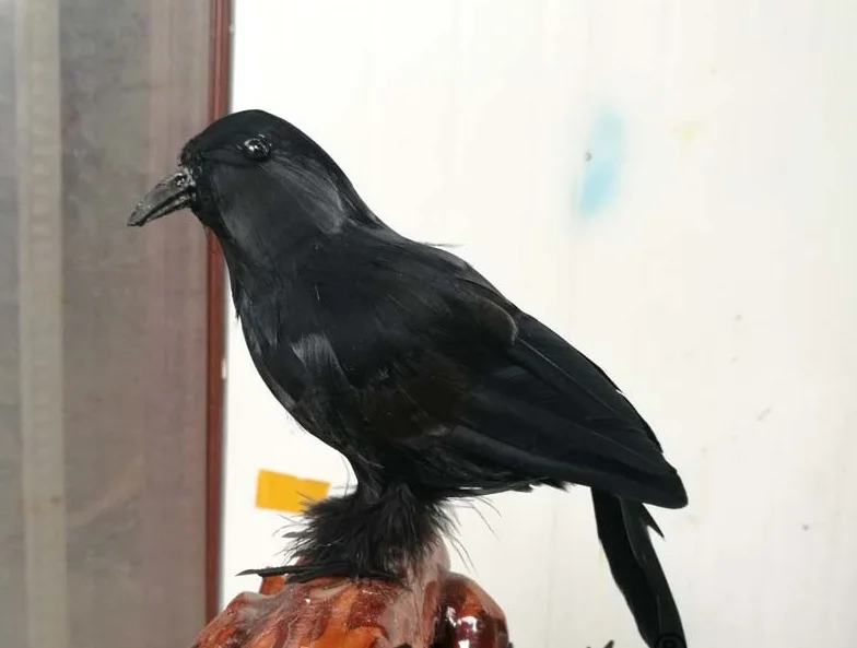 

new creative simulation crow model toy plastic&fur black bird hard model gift about 24cm