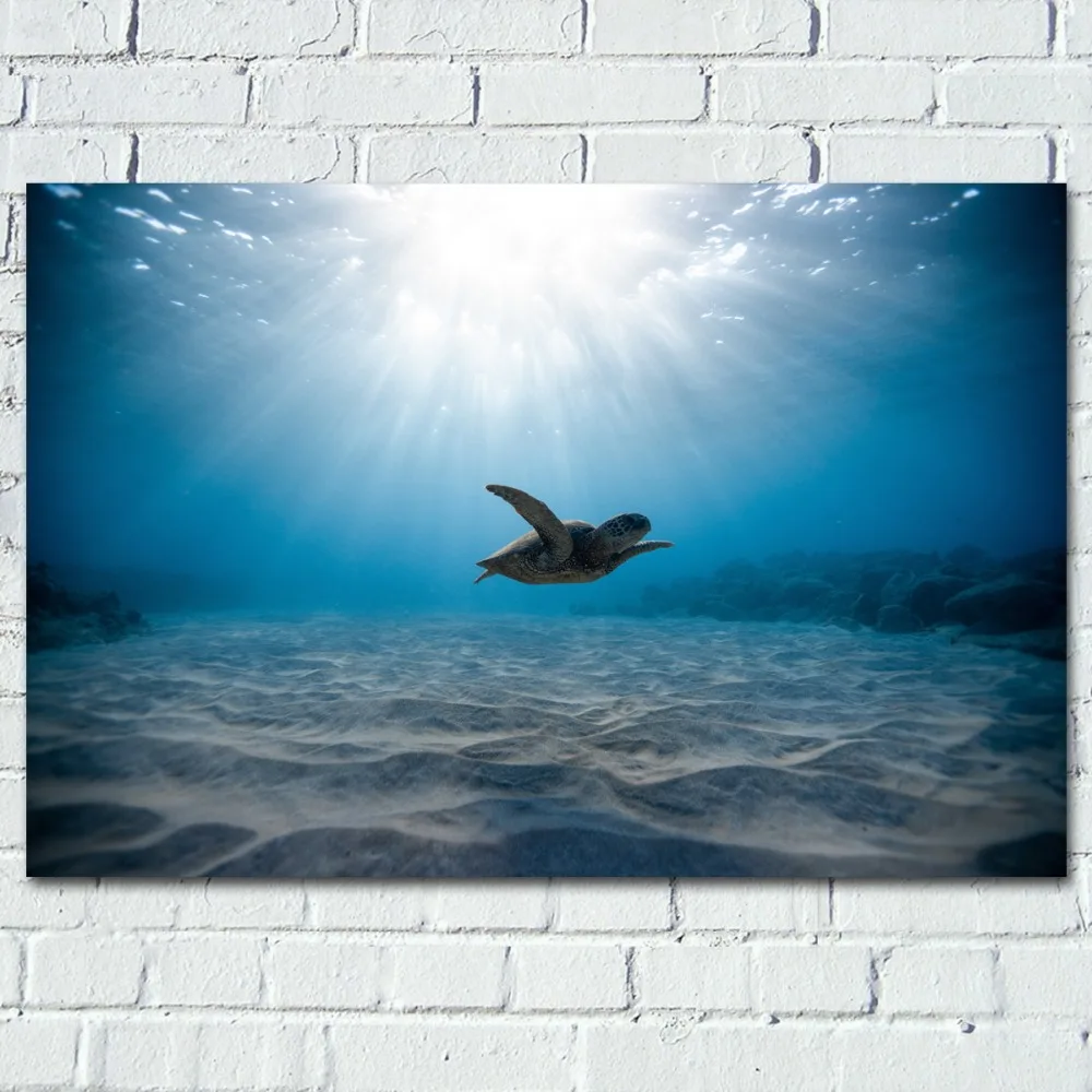 

Плакаты и принты Морская жизнь Солнцезащитная черепаха подводная животная Картина на холсте искусство DIY картины в рамке для домашнего декора комнаты