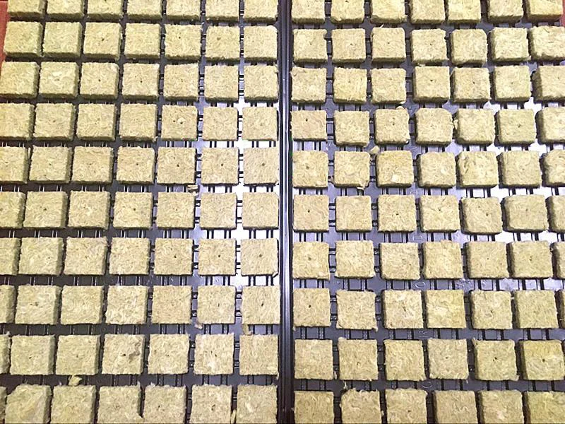 36 мм гродан стартер вилки кубики Rockwool гидропонная система для выращивания медиа-размножения клонирование Rockwool кубики Stonewool мини-блок