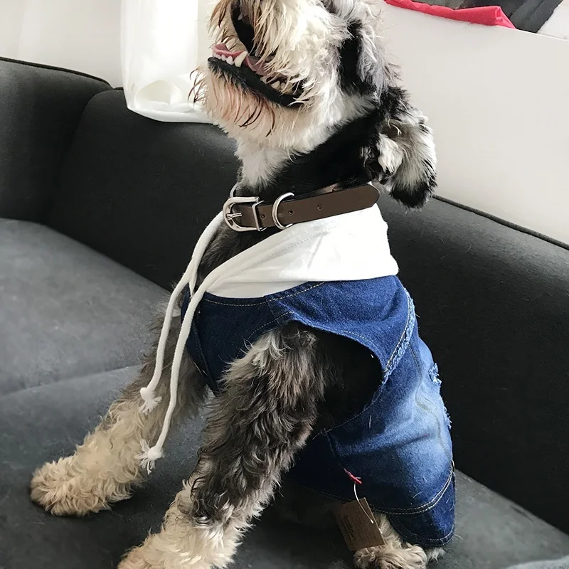 Comwarm сплошной цвет отверстие ковбой Pet свитер собака джинсовая куртка домашнее животное с капюшоном Одежда для Чихуахуа Тедди собак ковбойская одежда(S-4XL