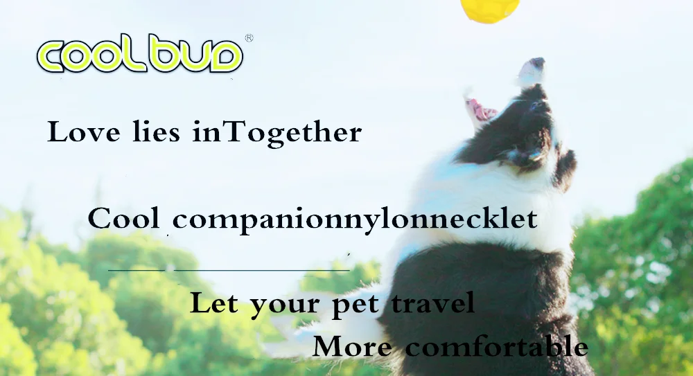 Vinegar with personalized dog collar adjustable soft leather custom dog collar dog large dog necklace pet accessories pet rope