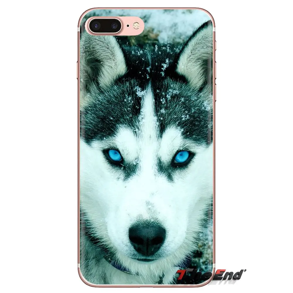Мягкие чехлы для собак Alaskan Malamute Siberian husky Xiaomi Mi3 Samsung A10 A30 A40 A50 A60 A70 Galaxy S2 Note 2 Grand Core