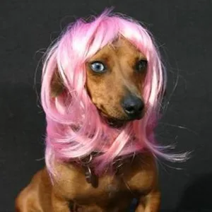 Короткий коричневый парик Bobo для кошек и собак, аксессуары для вечеринок на Рождество, Хэллоуин, шапочка