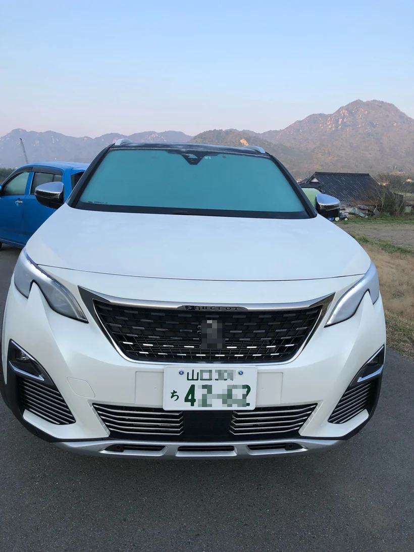 Новые ходовые боковые педали для peugeot 3008-, очень популярный стиль в Китае, поставляемый ISO9001 большой завод