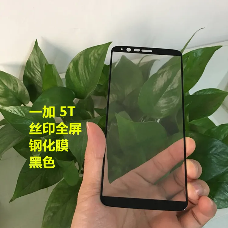 Закаленное 3d стекло для Oneplus 5T 2 шт. полноэкранная Защитная пленка 5T|Защитные