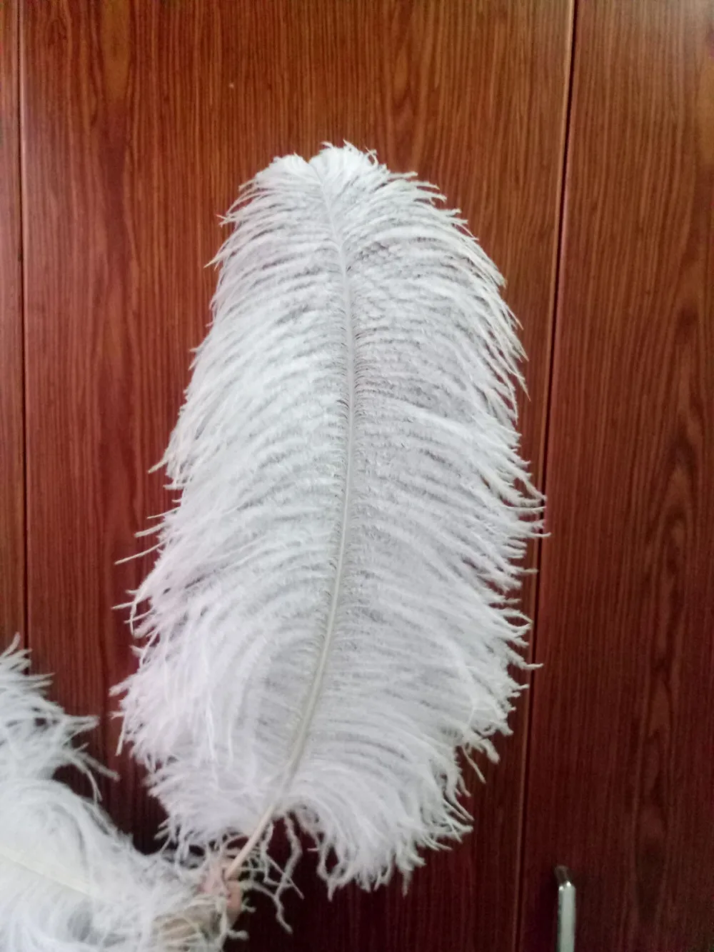 10 шт. высококачественные белые Страусиные feather22 24inches/55 60 см diy декоративные