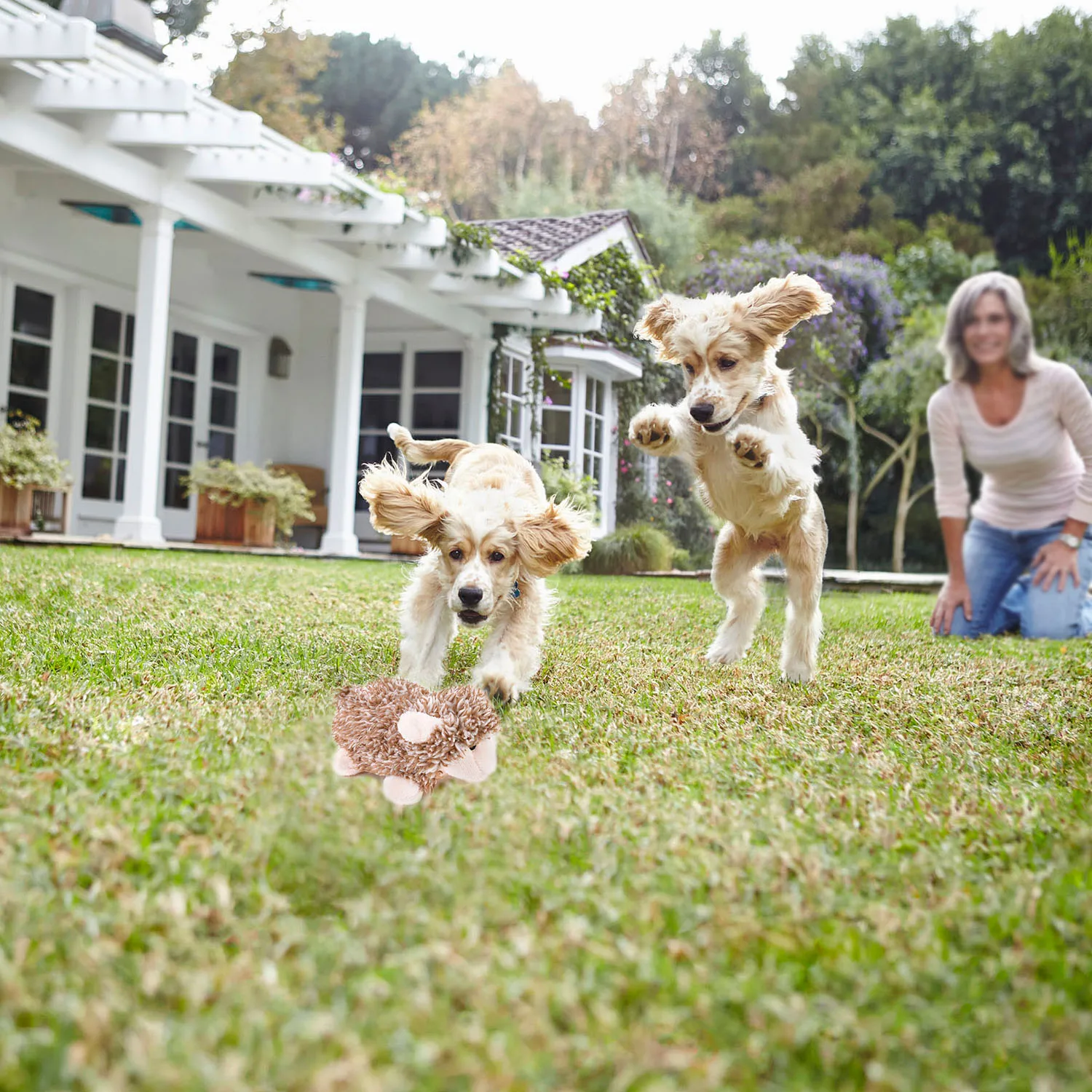 2 шт. жевательные игрушки для питомцев плюшевый ежик овец собачка звук игрушка