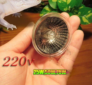 220v 25w Coospider UVB Вольфрамовая галогенная лампа теплая зона в террариумах для домашних животных рептилий подходит для цоколя E27 110v 220v, UVB 3,0 UVA UVB - Цвет: 220v 25w