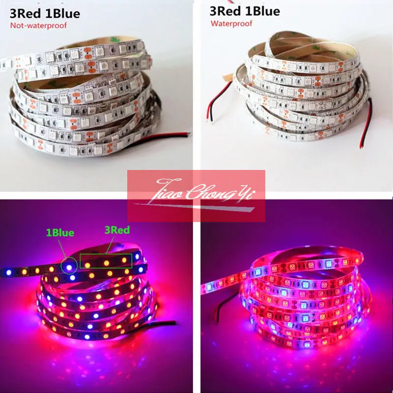 Set 5m 1m Φ set|Светодиодные ленты| |