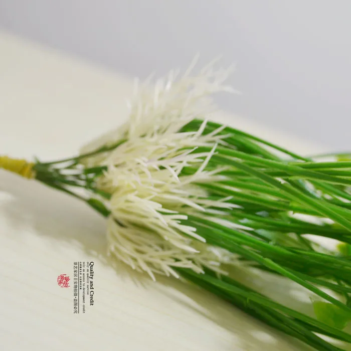 Моделирование ростков фасоли мунг/саженцев мунг/ростков цветов вставленных