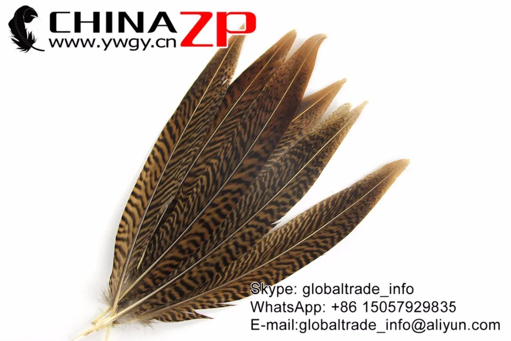 Перья CHINAZP 20 ~ 25 см (8 10 дюймов) короткий размер натуральный Золотой фазан