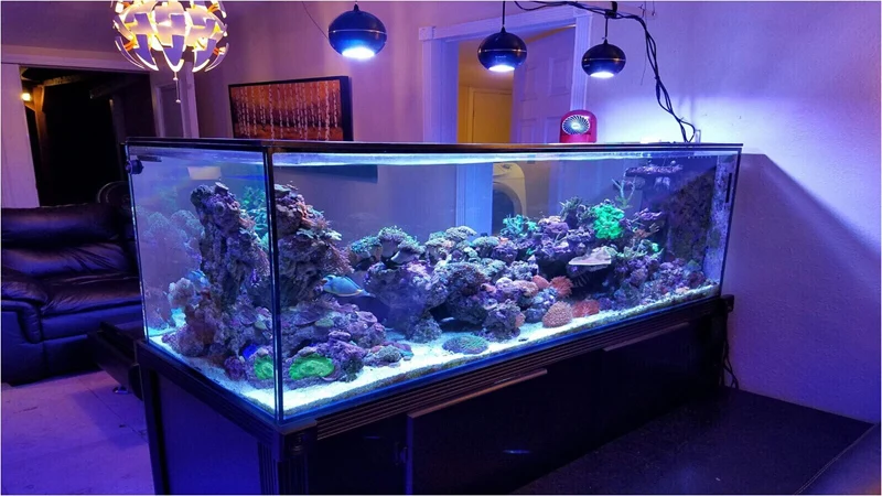 Светодиодный аквариум кораллового цвета для выращивания морской риф белый синий