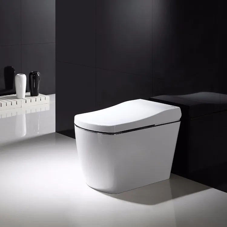 

Wanjie Intelligent Auto Digital Toilet Washer Spray