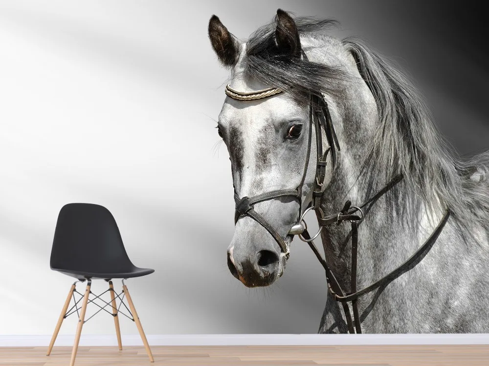 

[Self-Adhesive] 3D Grey Horse Room 6 Wall Paper mural Wall Print Decal Wall Murals