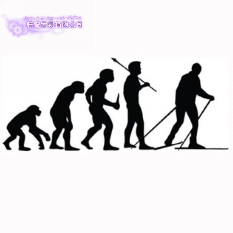 Лыжная наклейка Evolution Сноубординг на Лыжный спорт плакаты доска виниловые