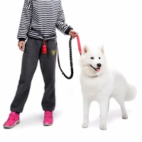 hot nylon pet leash retractable elastic waist dog leash running jogging dog sport products reflective dogs leashes with belt