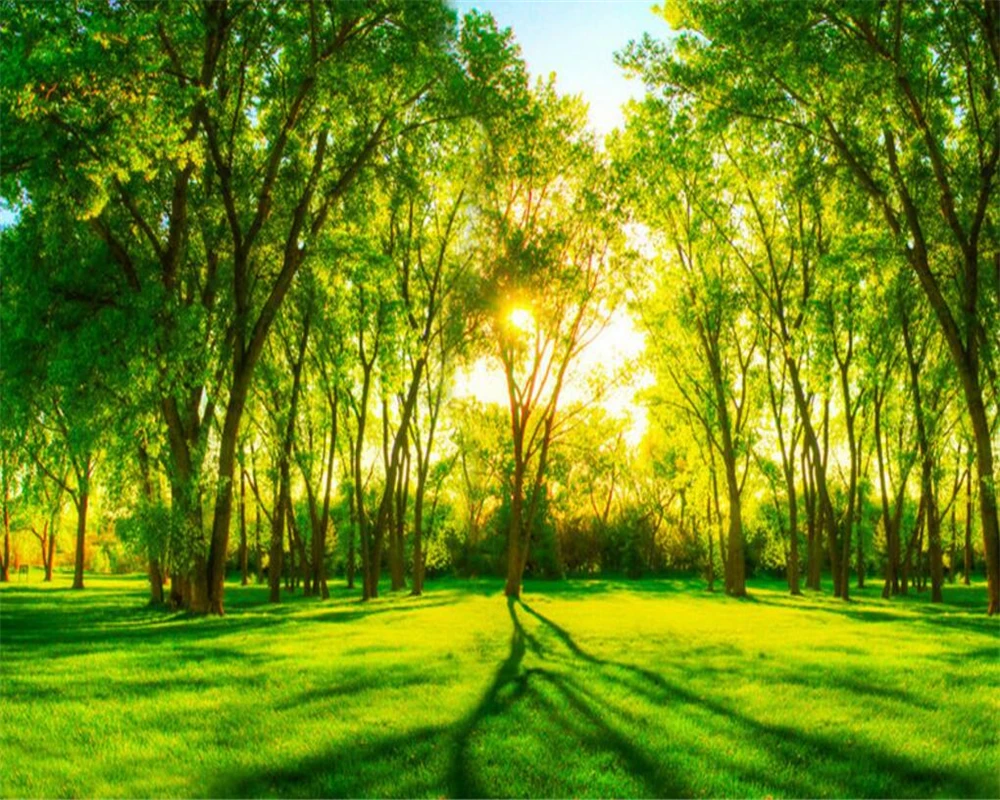 

Beibehang Custom photo wallpaper 3d green forest sunny wallpaper living room bedroom sofa 3d wallpaper murals papel de parede