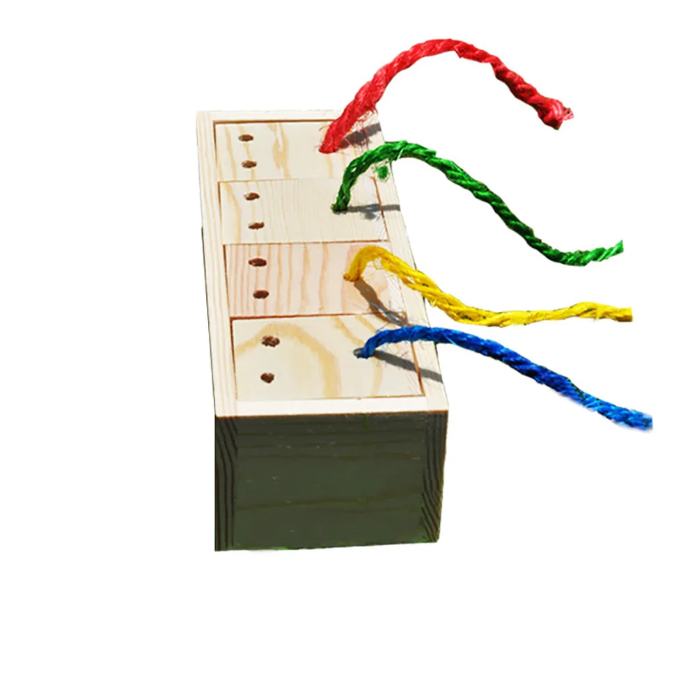 Развивающие игрушки обучающие бесцветные попугаи легкие птички домашние