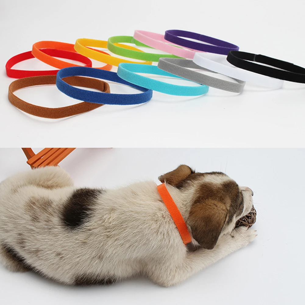 12 шт. ПЭТ ID Идентификация регулируемые многоцветное ожерелье воротники | Дом и