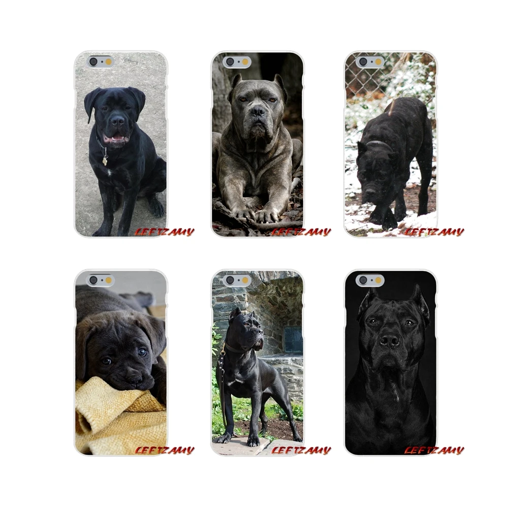 Итальянские собаки трость Корсо мастиф для iPhone X XR XS MAX 4 4S 5 5S 5C SE 6 6S 7 8 Plus Аксессуары