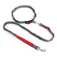 night reflective elastic nylon breakaway leashes running hand free waist belt jogging leads retractable leash for small pet dogs