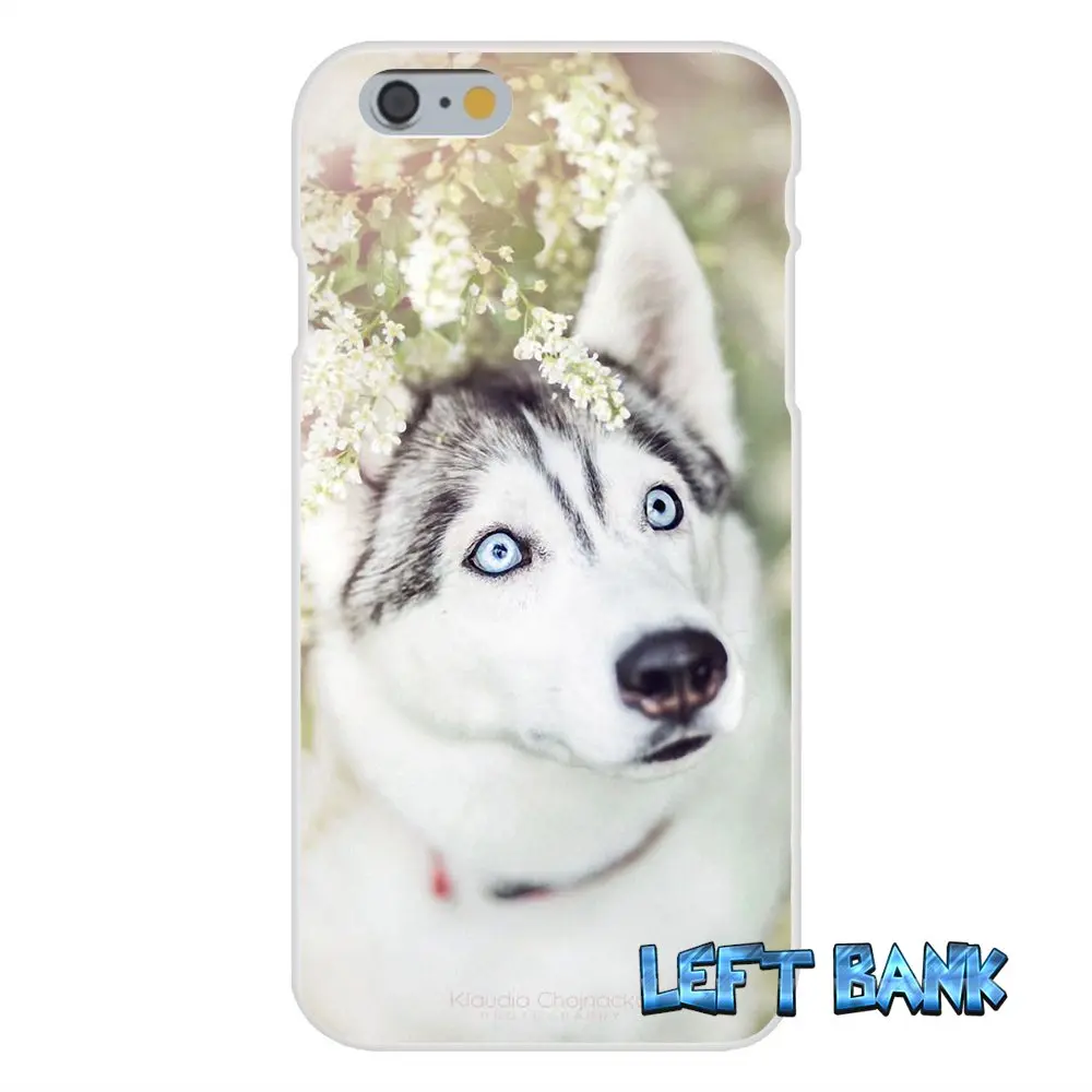 Милая собака хаски Тонкий силиконовый чехол для телефона Motorola Moto G LG Spirit G2 G3 мини G4