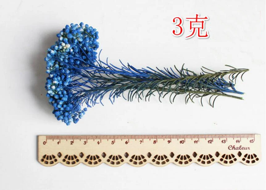 30 г Ozothamnus Diosmifolius консервированный цветок для свадебной вечеринки украшения дома