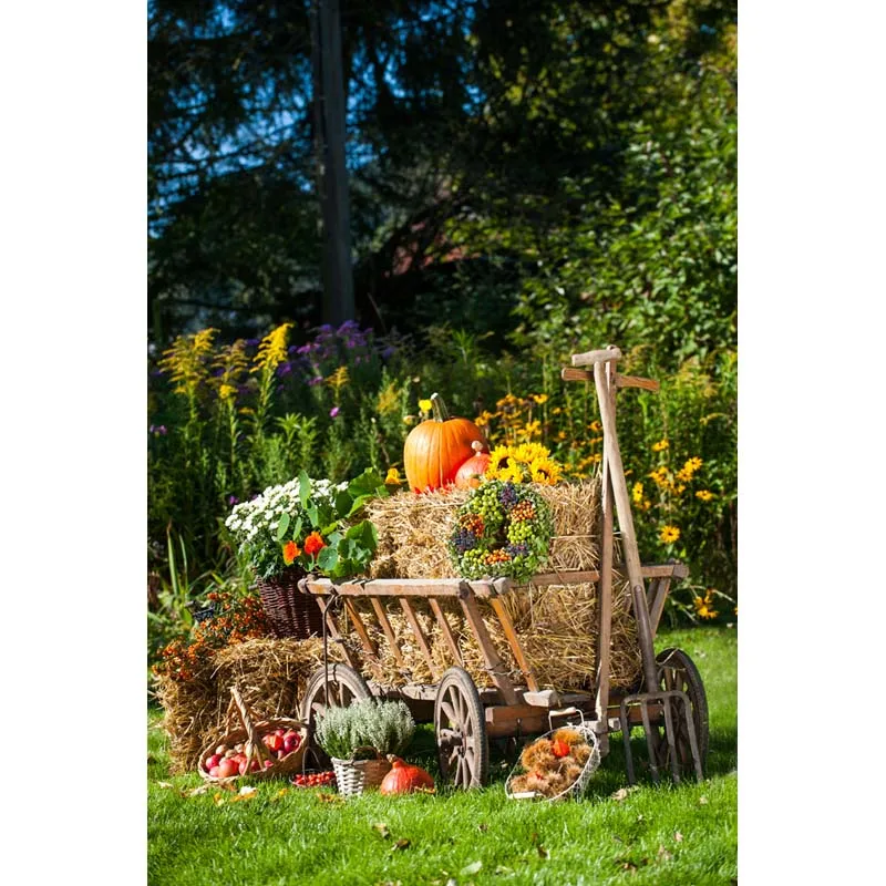 Естественный Живописный фон для фотосъемки детей Урожай осенний фотостудии