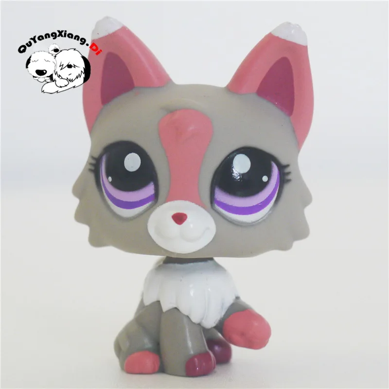 CWG055 Pet Shop животное серый розовый и белый Wolf dog фигурку милый щенок|Игровые фигурки